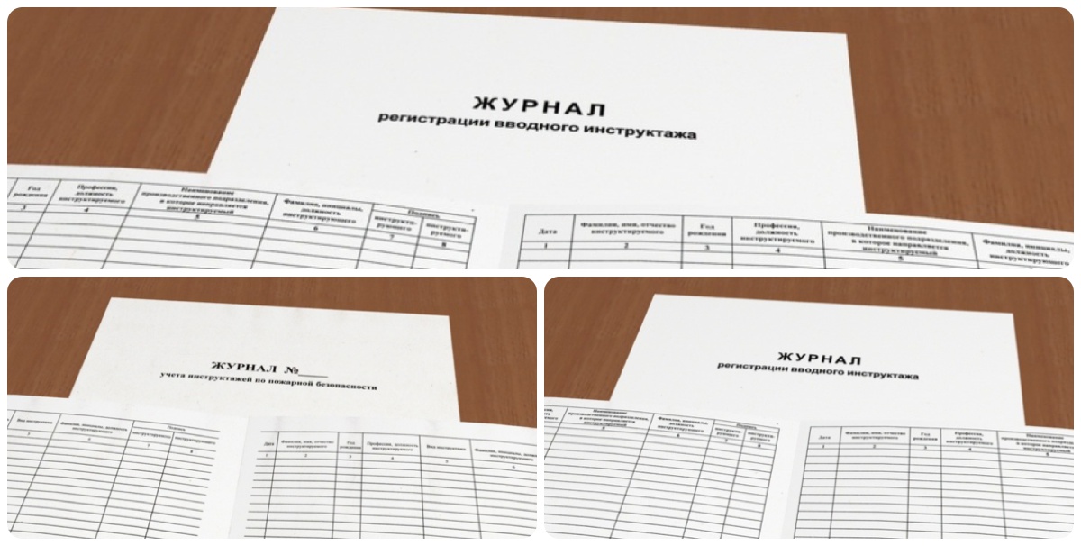 Вводный журнал по охране труда купить в Белгороде